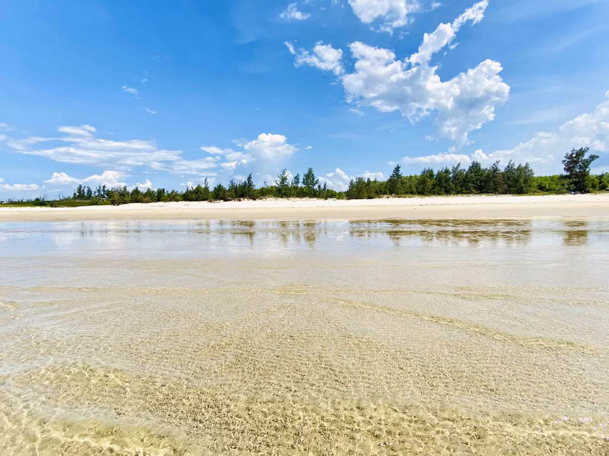 6 bai bien hoang so, it nguoi biet o Quang Ngai-Hinh-5