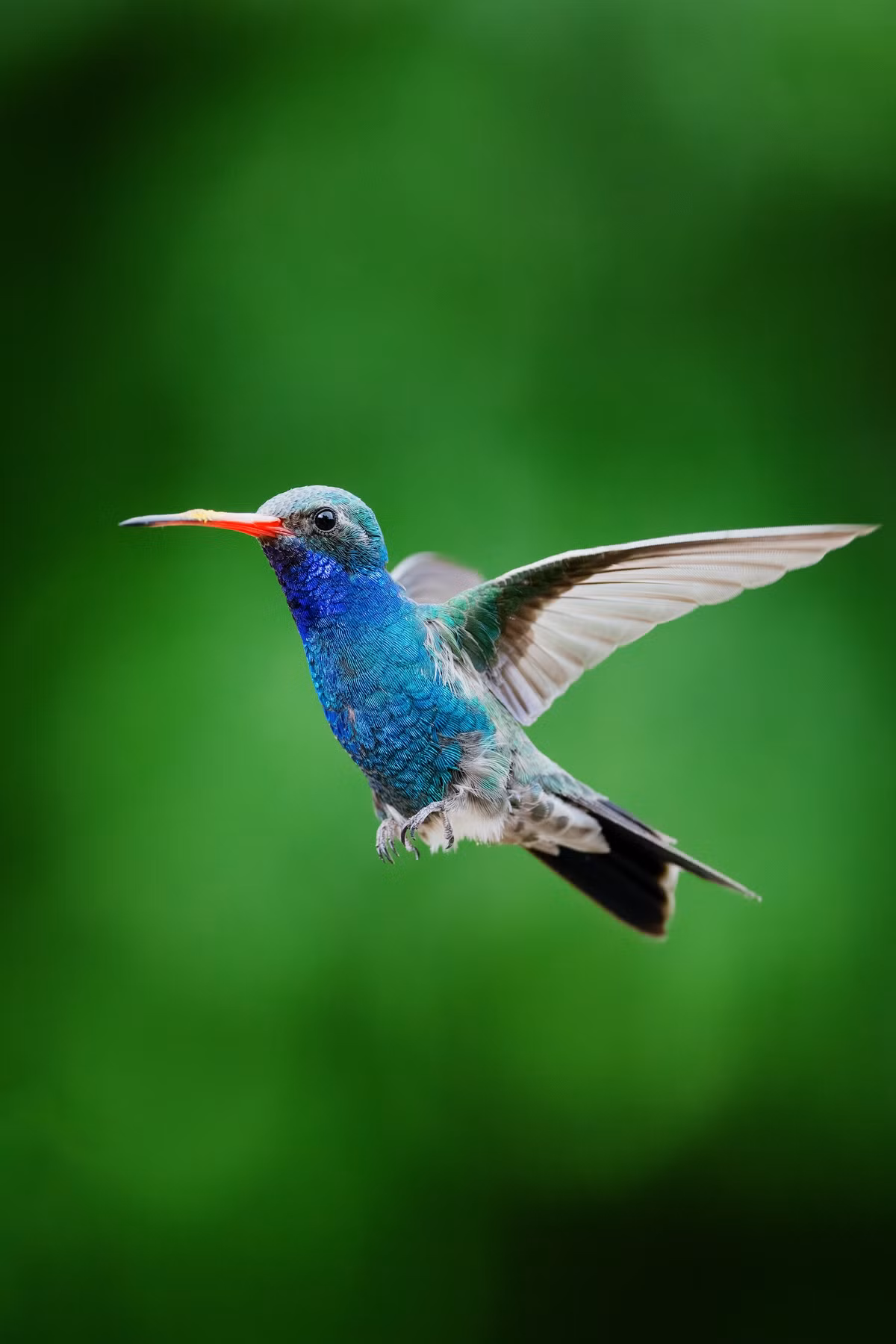 Thang 7 Am lich cau may tranh ac: 3 con giap vuong van quy nhan