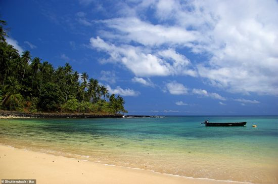 “Cay kim da” khong lo giua khu rung day ran o chau Phi-Hinh-4