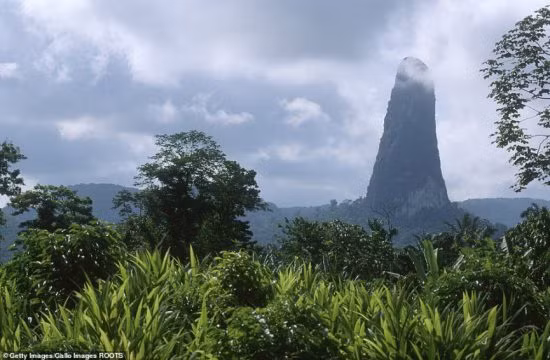 “Cay kim da” khong lo giua khu rung day ran o chau Phi-Hinh-3