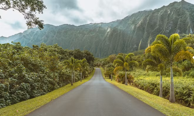 Loat anh truoc - sau du bao the gioi bi tan pha the nao vao 2050?-Hinh-7