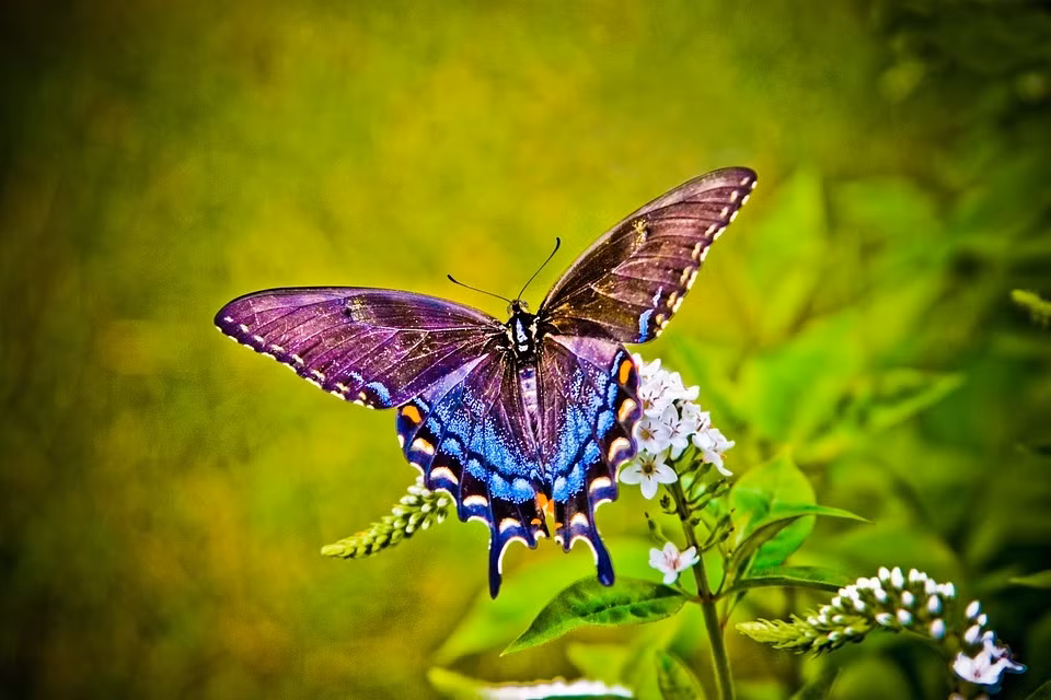 Sinh ngay Am lich nay ca doi vat va nhung con chau thanh danh-Hinh-3