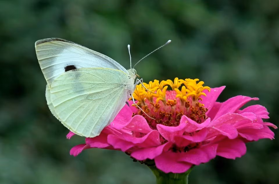Sinh ngay Am lich nay ca doi vat va nhung con chau thanh danh