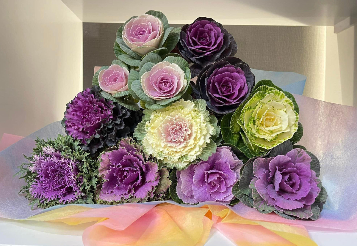 Hoa la cam choi co the an, gia gan tram nghin van hut khach