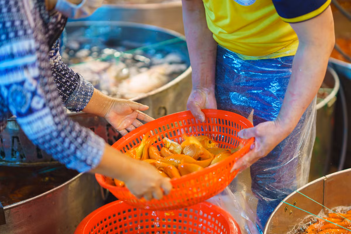 Từ 1-3h, là thời gian giao dịch tấp nập nhất. Hầu hết tiểu thương ở TP.HCM đều đổ về đ lấy cá chép đỏ bán lẻ.