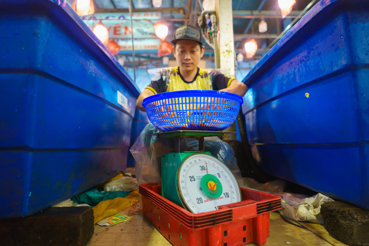 Việc vớt cá và cân ký diễn ra rất nhanh chóng. Mỗi vựa, chủ đều thuê nhiều nhân công để lựa, cân cá, đóng gói và giao cho khách hàng.