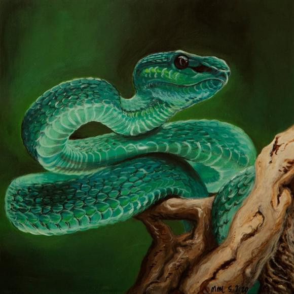 br/>Tuổi Tỵ. Tỵ tính tình dễ tính, dễ gần, bao dung và rộng lượng, con giáp này sẵn sàng giúp đỡ khi thấy người khác gặp khó khăn. Tỵ sống tự do, phóng khoáng nên được nhiều người khác tôn trọng, yêu mến.