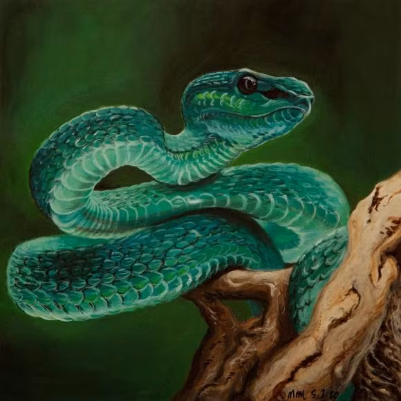 br/> Tuổi Tỵ. Tỵ tính tình dễ tính, dễ gần, bao dung và rộng lượng, con giáp này sẵn sàng giúp đỡ khi thấy người khác gặp khó khăn. Tỵ sống tự do, phóng khoáng nên được nhiều người khác tôn trọng, yêu mến.