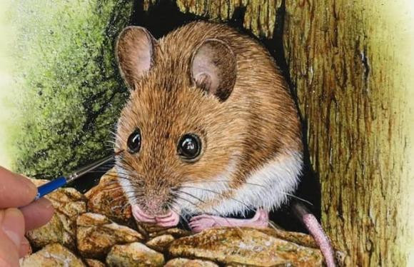 uổi Tý. Tý là những người lạc quan, vui vẻ và yêu đời, con giáp này cũng thông minh, nhanh trí như những chú chuột vậy. Con giáp này mang số mệnh giàu sang, phú quý, dù xuất thân trong những gia đình nghèo, Tý vẫn không ngừng vươn lên để cải thiện cuộc sống.