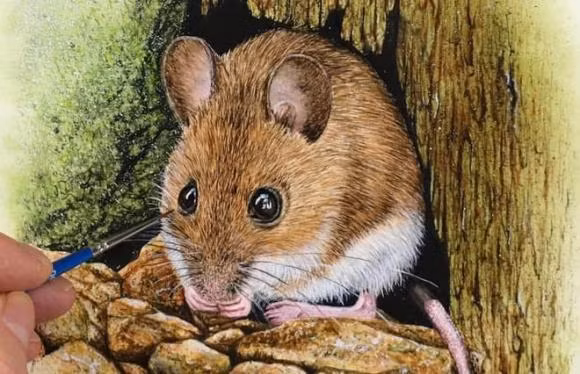 Tuổi Tý. Tý là những người lạc quan, vui vẻ và yêu đời, con giáp này cũng thông minh, nhanh trí như những chú chuột vậy. Con giáp này mang số mệnh giàu sang, phú quý, dù xuất thân trong những gia đình nghèo, Tý vẫn không ngừng vươn lên để cải thiện cuộc sống.