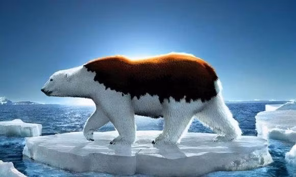 Neu tat ca song bang tan chay, trai dat se nhu the nao?-Hinh-9