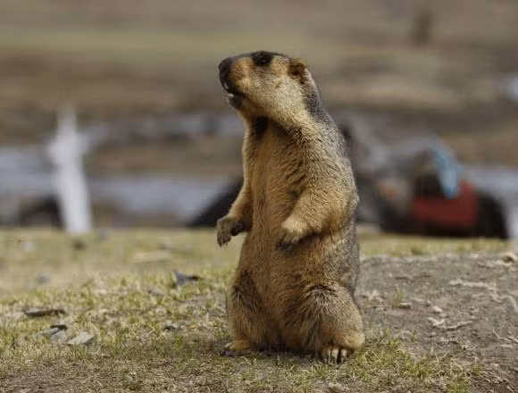 Neu con nguoi dot ngot bien mat, ai tro thanh 'chua te trai dat'?-Hinh-2