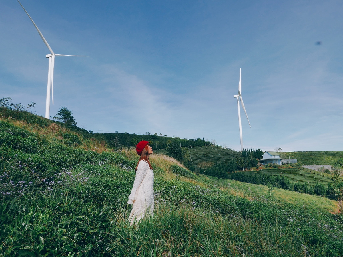 Cánh đồng quạt gió nằm trên đồi chè Cầu Đất, thuộc địa bàn xã Xuân Trường, cách trung tâm thành phố Đà Lạt hơn 20 km.