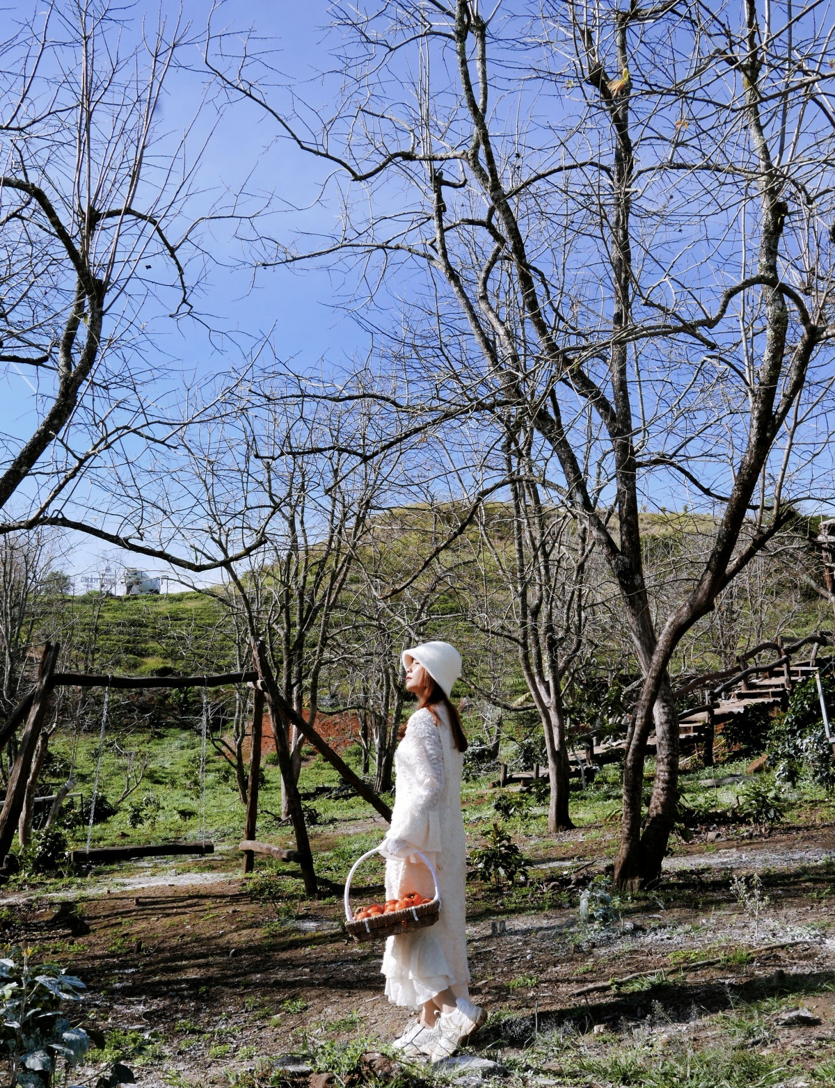 Vườn hồng Ông Thắng Farm tại xã Xuân Trường.