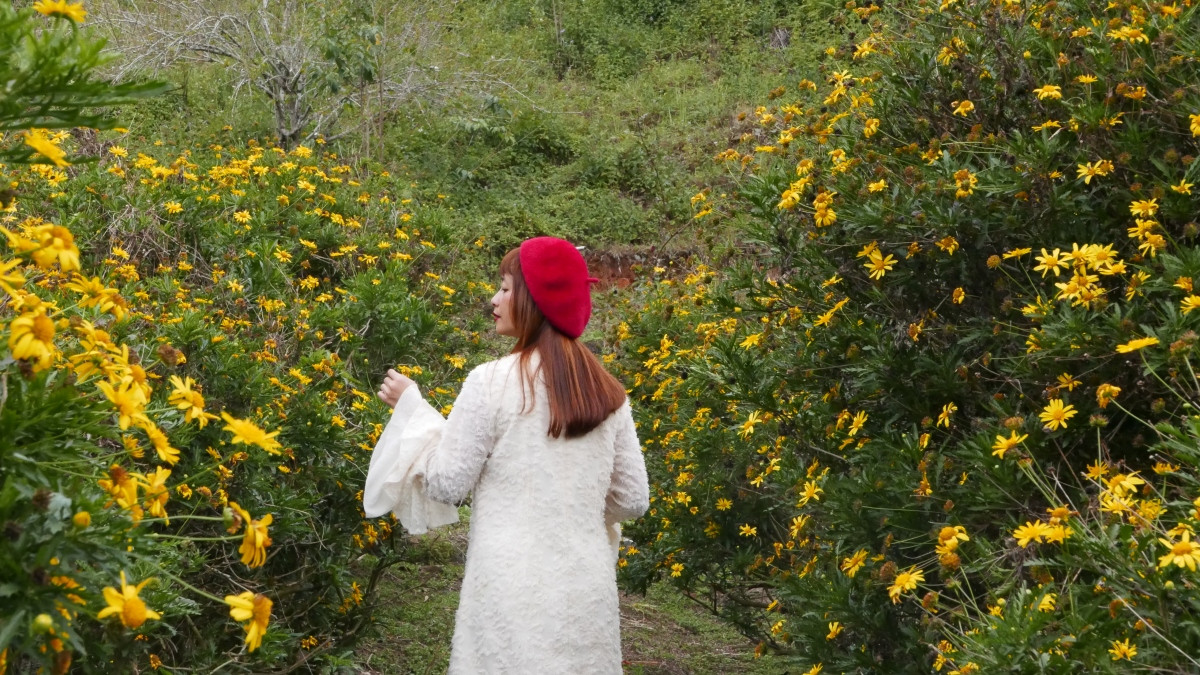 Một vườn hoa nằm gần khu vực hồ Tuyền Lâm.