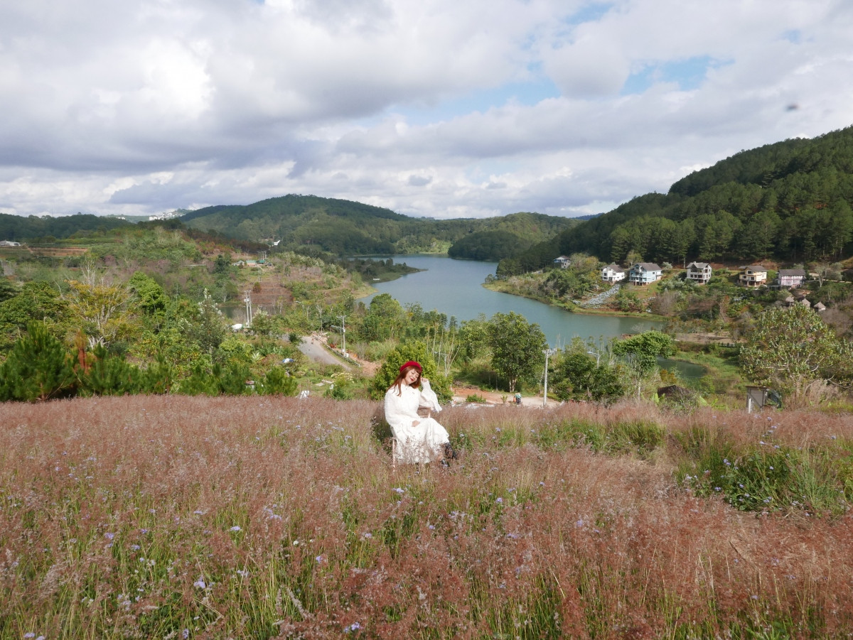 Cỏ lau hồng ở Phường 4, TP. Đà Lạt, thuộc khu vực hồ Tuyền Lâm. Nơi này cách khu trung tâm Đà Lạt khoảng 7 km.