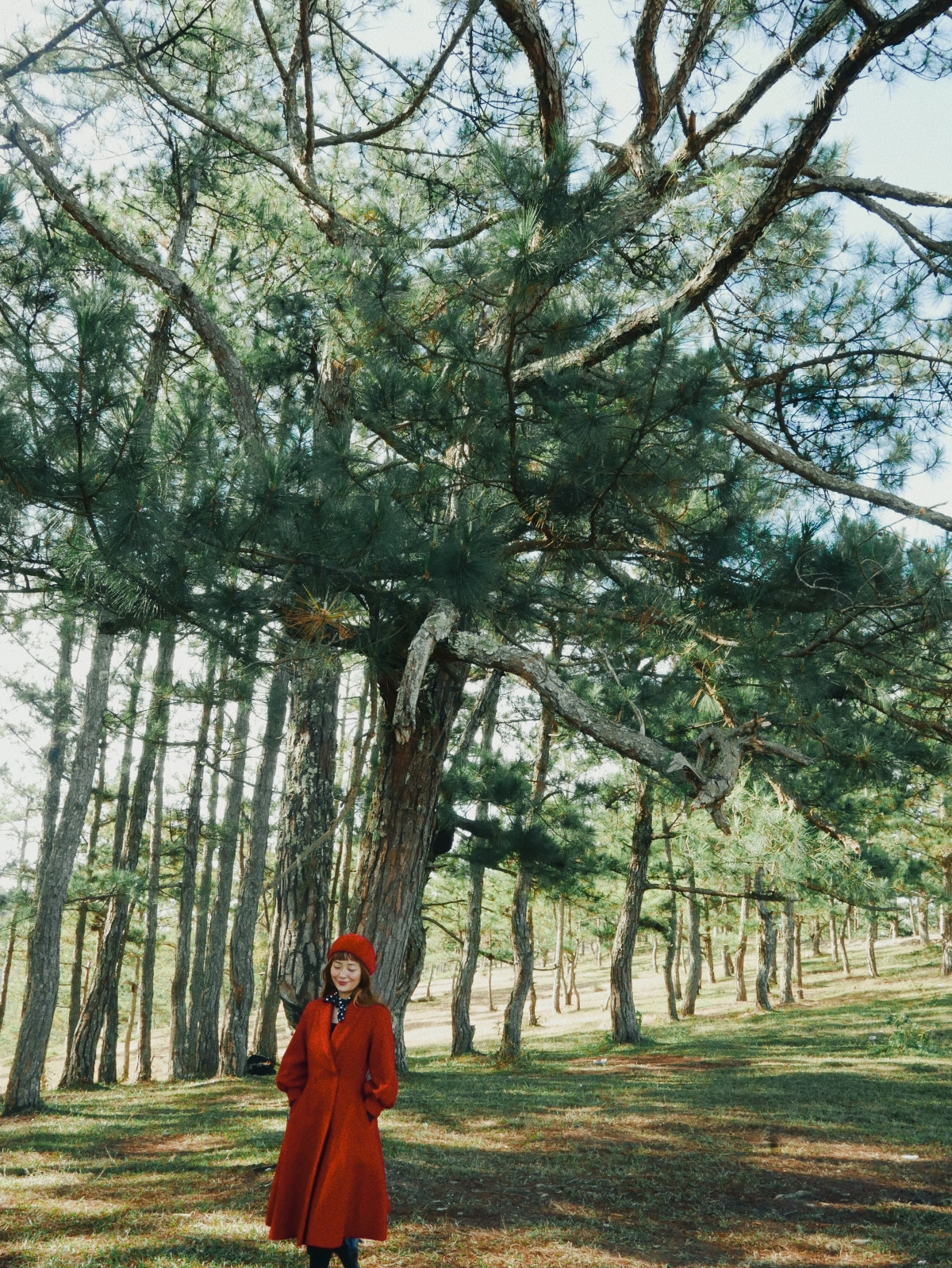 Rừng thông ở hồ Suối Vàng. Khu vực này thuộc huyện Lạc Dương, cách trung tâm thành phố Đà Lạt khoảng 12km về phía Bắc.