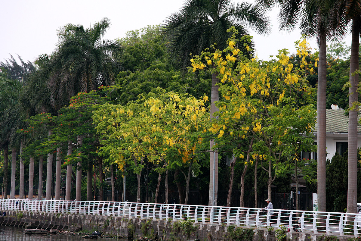 Anh: Nhung goc ho Tay quyen ru voi hoa muong hoang yen-Hinh-6