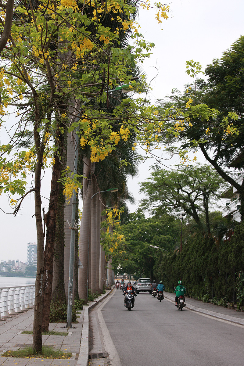 Anh: Nhung goc ho Tay quyen ru voi hoa muong hoang yen-Hinh-8