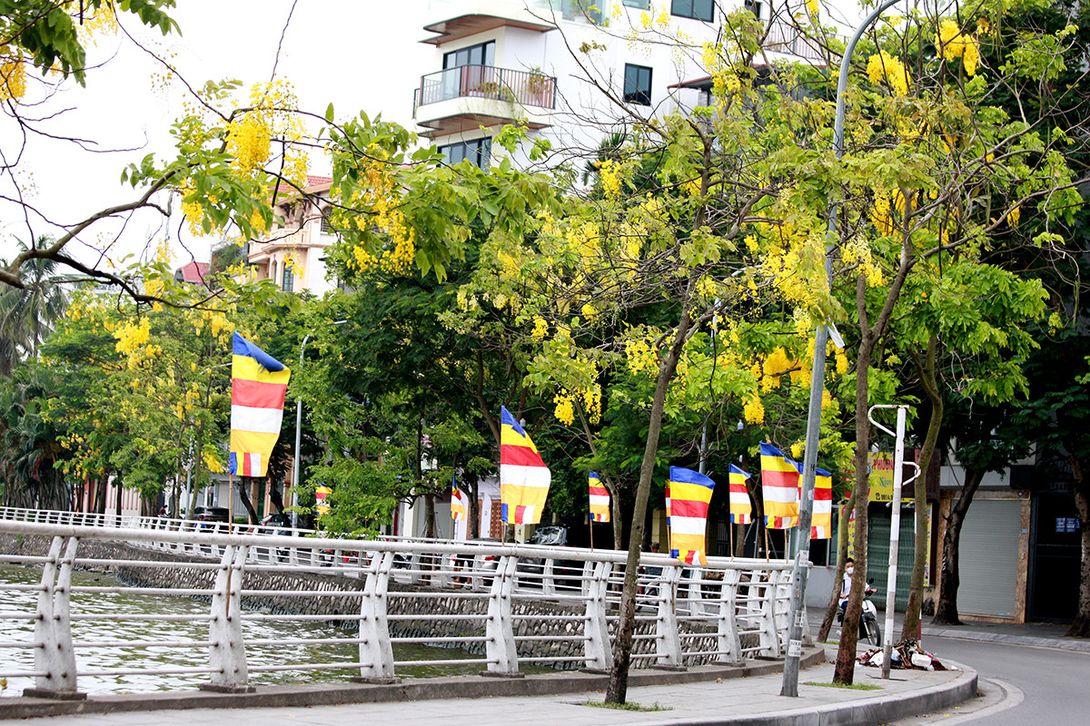 Anh: Nhung goc ho Tay quyen ru voi hoa muong hoang yen-Hinh-7