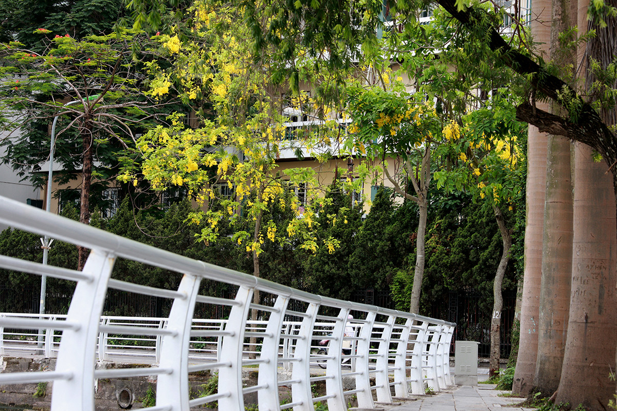 Anh: Nhung goc ho Tay quyen ru voi hoa muong hoang yen-Hinh-3