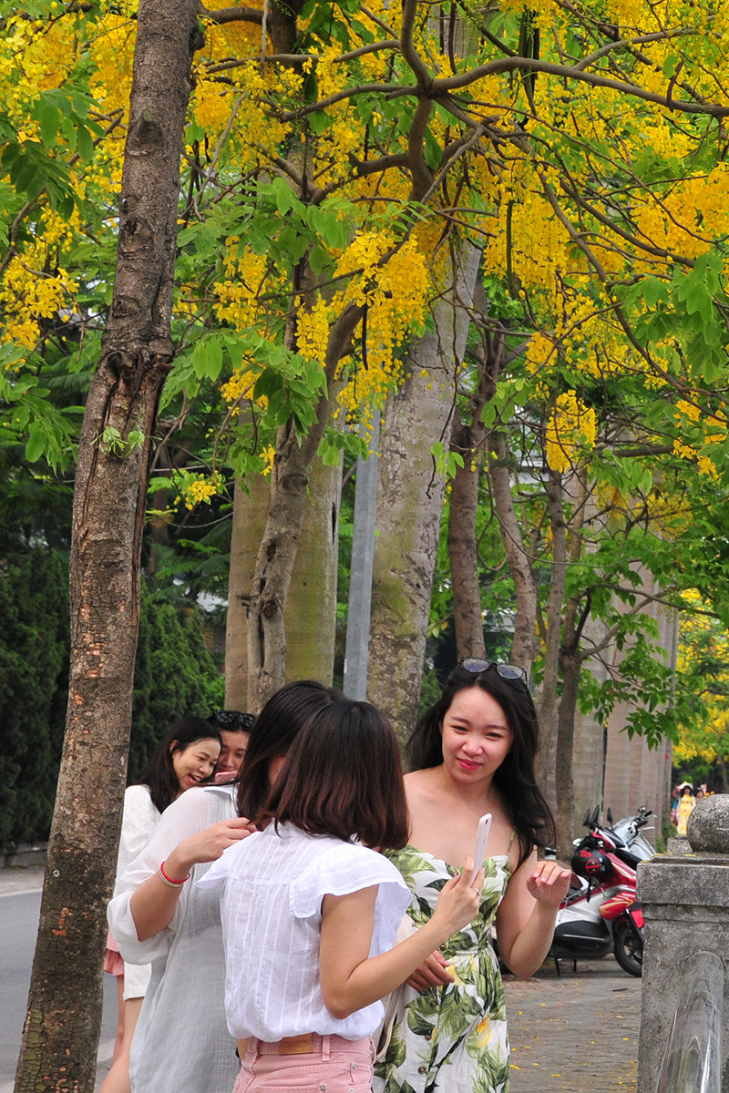 Anh: Nhung goc ho Tay quyen ru voi hoa muong hoang yen-Hinh-5