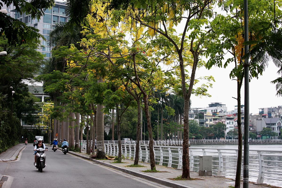 Anh: Nhung goc ho Tay quyen ru voi hoa muong hoang yen