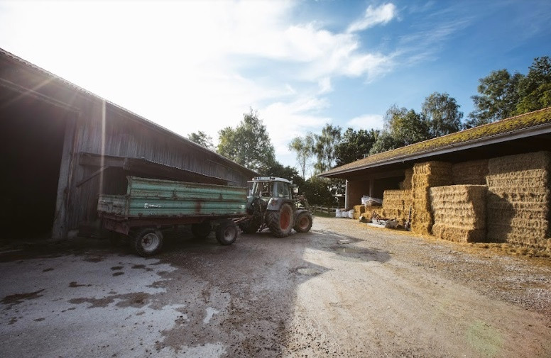 Ghe tham trang trai huu co tai chau Au-Hinh-4