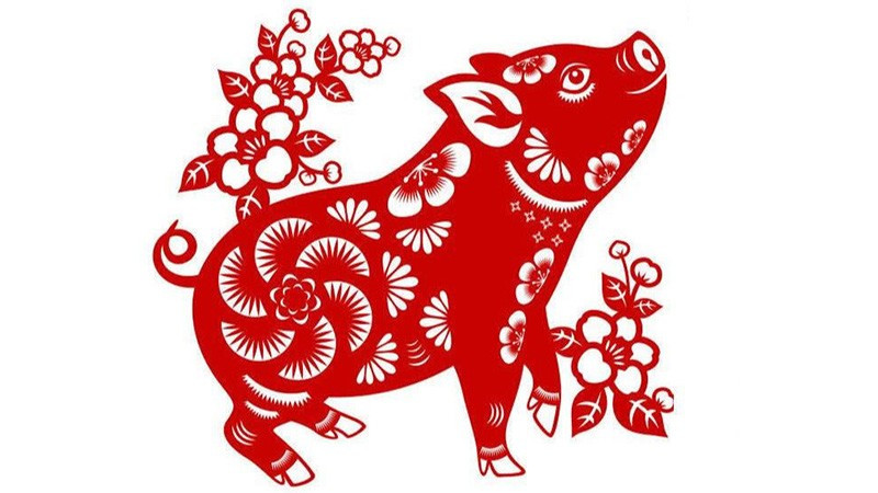 Từ ngày 20/9, Thần Tài và quý nhân hội tụ, phú quý sẽ tỏa sáng, tài lộc của người tuổi Hợi một phần sẽ nở rộ và càng ngày càng khá hơn. Sự nghiệp từ ngày 20/9 đến 1/10, người tuổi Hợi kiếm được bộn tiền, và đủ loại may mắn gõ cửa. Thông tin trong bài chỉ mang tính tham khảo