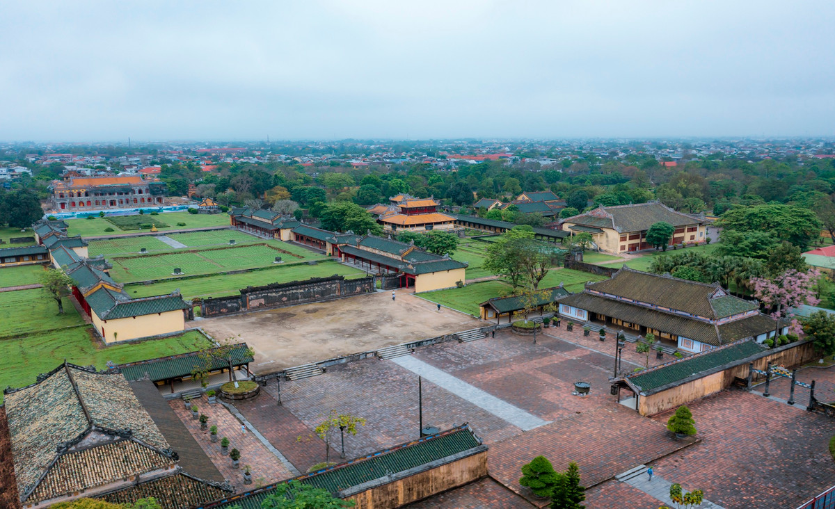 Những ngày cuối tháng 3, đầu tháng 4, khi những cơn nắng nóng đầu mùa hạ bắt đầu xuất hiện cũng là lúc những cây ngô đồng trong Hoàng cung Huế bắt đầu thi nhau khoe sắc.