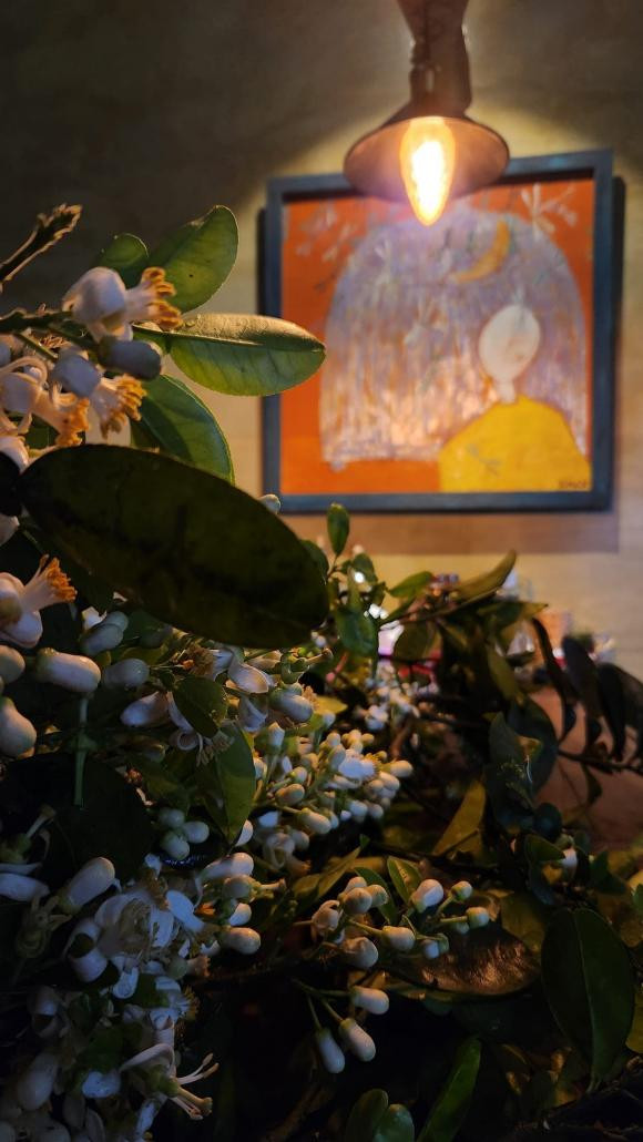 Tan dung do cu, thiet ke can nha theo phong cach co xua-Hinh-23