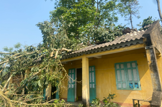 Loc xoay “thoi bay” mai nha dan, truong hoc o Thanh Hoa-Hinh-2