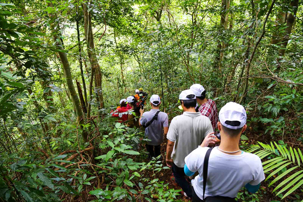 Bang rung, du day vuot thac Duong Cam-Hinh-2