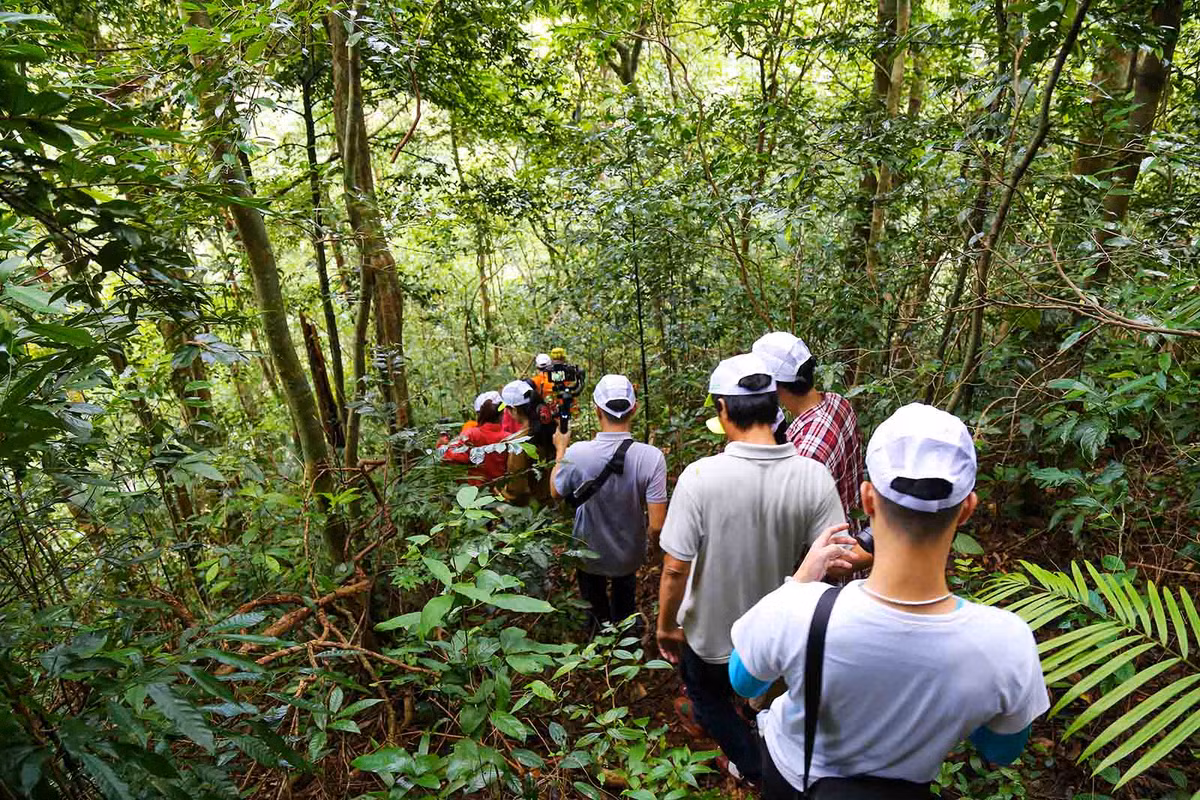 Bang rung, du day vuot thac Duong Cam-Hinh-2