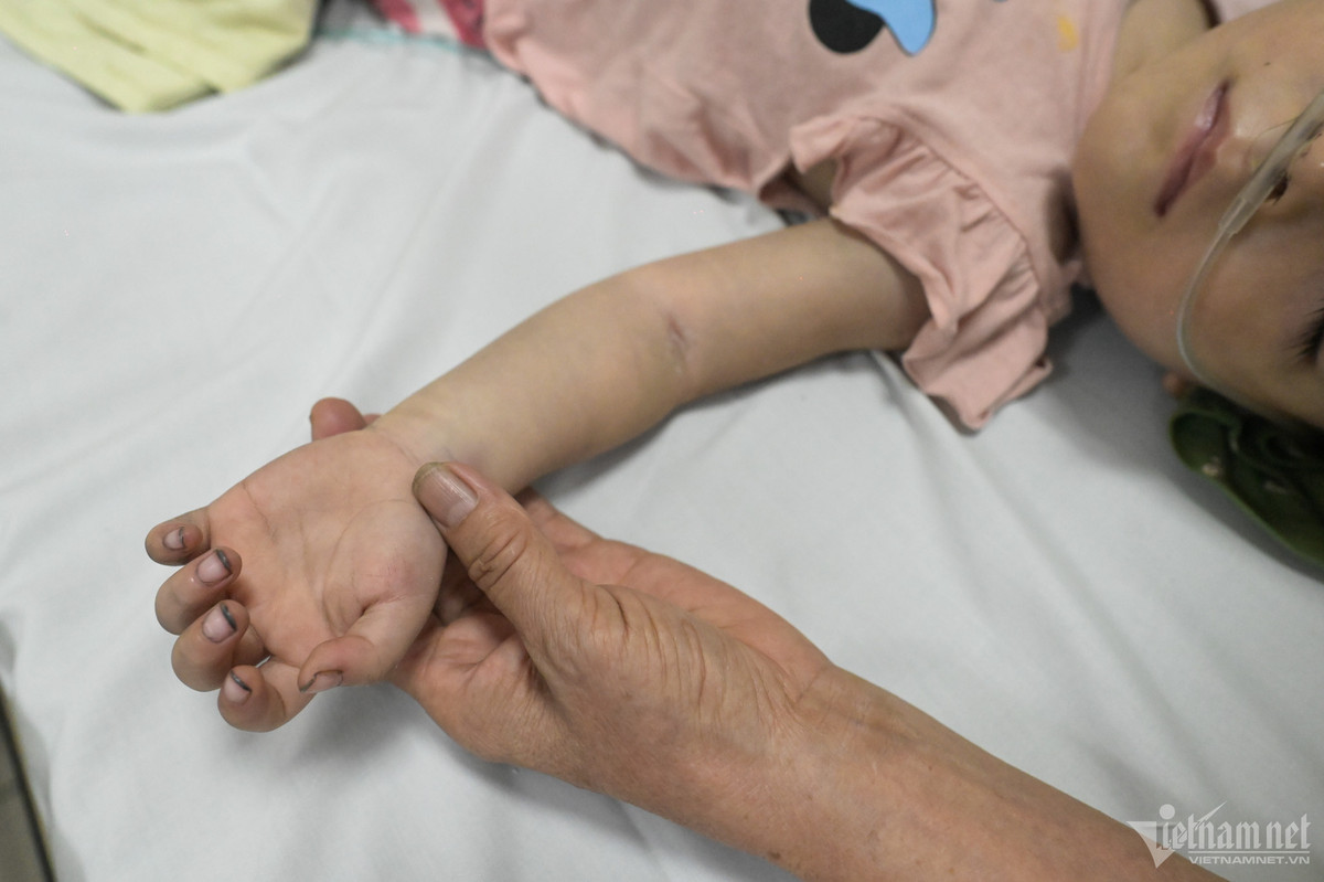 Theo cơ quan chức năng, các nạn nhân của vụ cháy đã được chuyển đến cấp cứu tại nhiều bệnh viện. PGS.TS Đào Xuân Cơ, Giám đốc Bệnh viện Bạch Mai, cho biết ngay từ 1h sáng ngày 13/9 đến nay, bệnh viện đã tiếp nhận 26 nạn nhân, trong đó 7 là bệnh nhi; có 2 nạn nhân đã tử vong ngoại viện, 1 trường hợp chưa xác định được danh tính. Người cao tuổi nhất là 81 tuổi, bé nhất là nạn nhân 8 tháng tuổi, 3 bệnh nhân đang trong tình trạng nguy kịch.