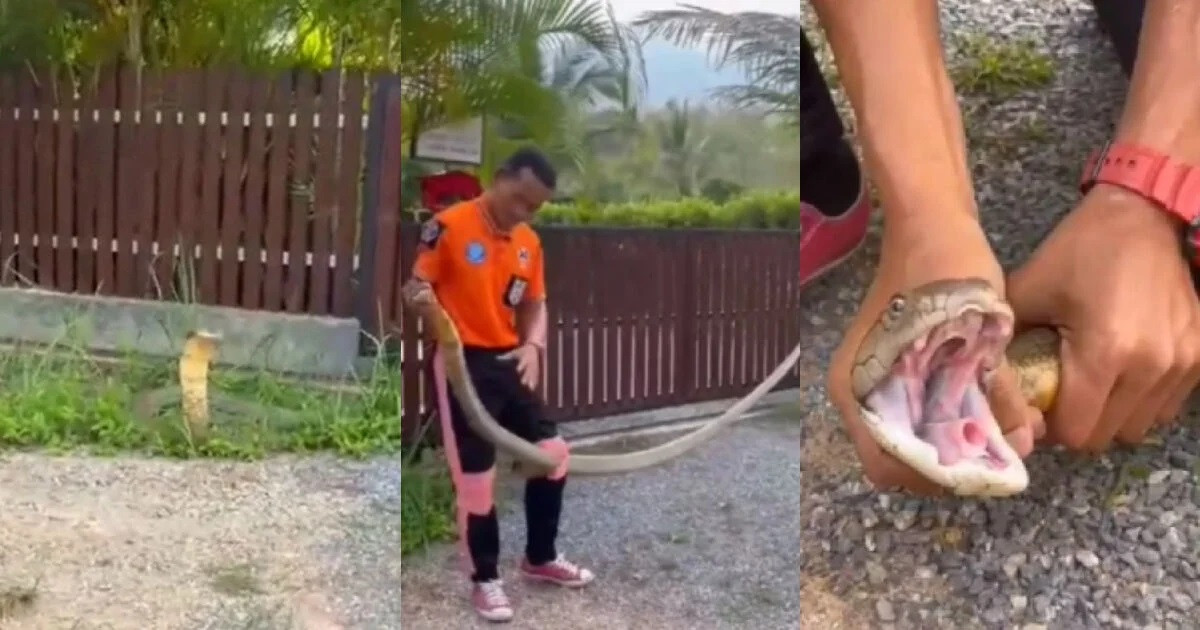 Dieu xay ra 3 giay sau khi tho bat ran tiep xuc ho mang chua