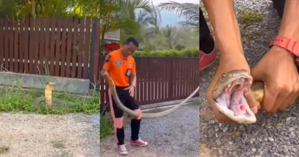 Dieu xay ra 3 giay sau khi tho bat ran tiep xuc ho mang chua