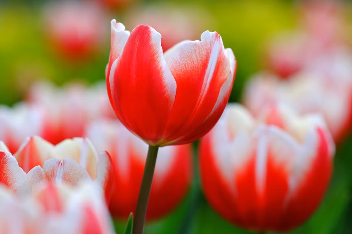 Nguoi sinh vao 5 ngay Am lich nay, hau van sung tuc