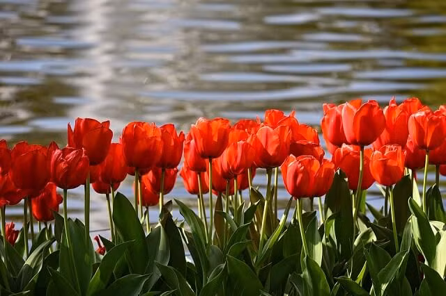 Nguoi sinh vao 5 ngay Am lich nay, hau van sung tuc-Hinh-3