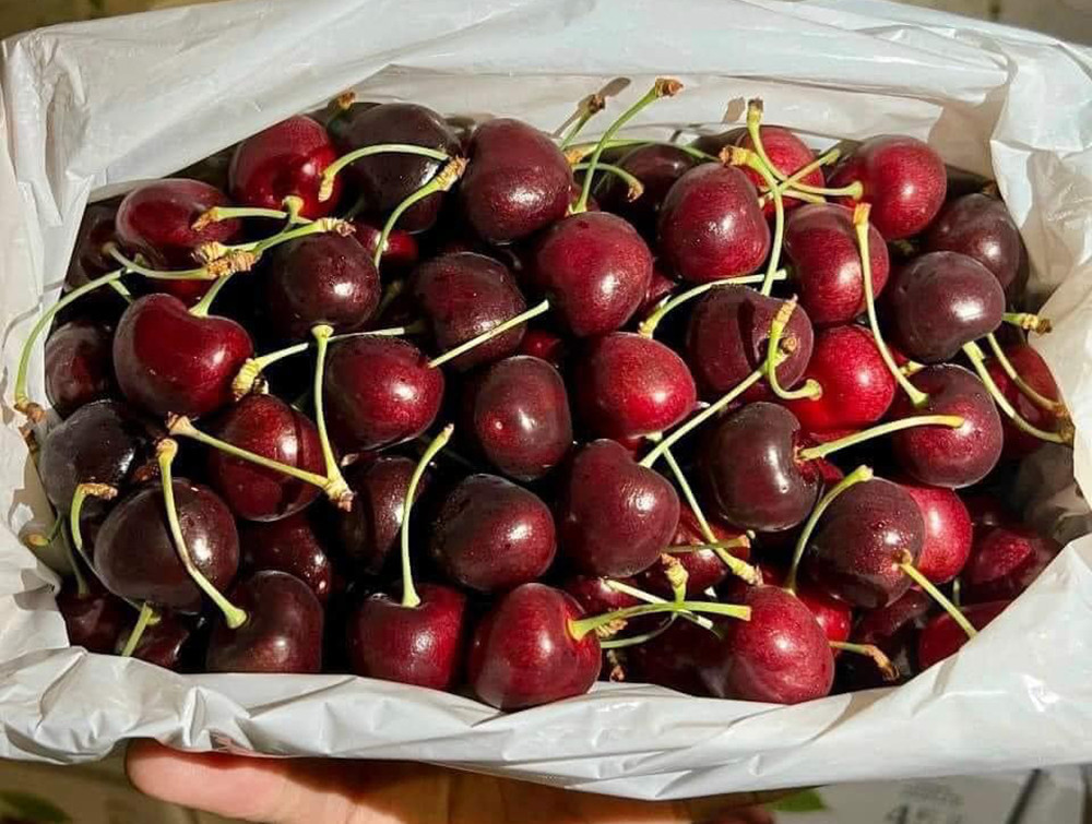 Loại trái cây nhập khẩu ồ ạt về chợ Việt, giá rẻ giật mình - Hình 2 Loai trai cay nhap khau o at ve cho Viet, gia re giat minh-Hinh-2