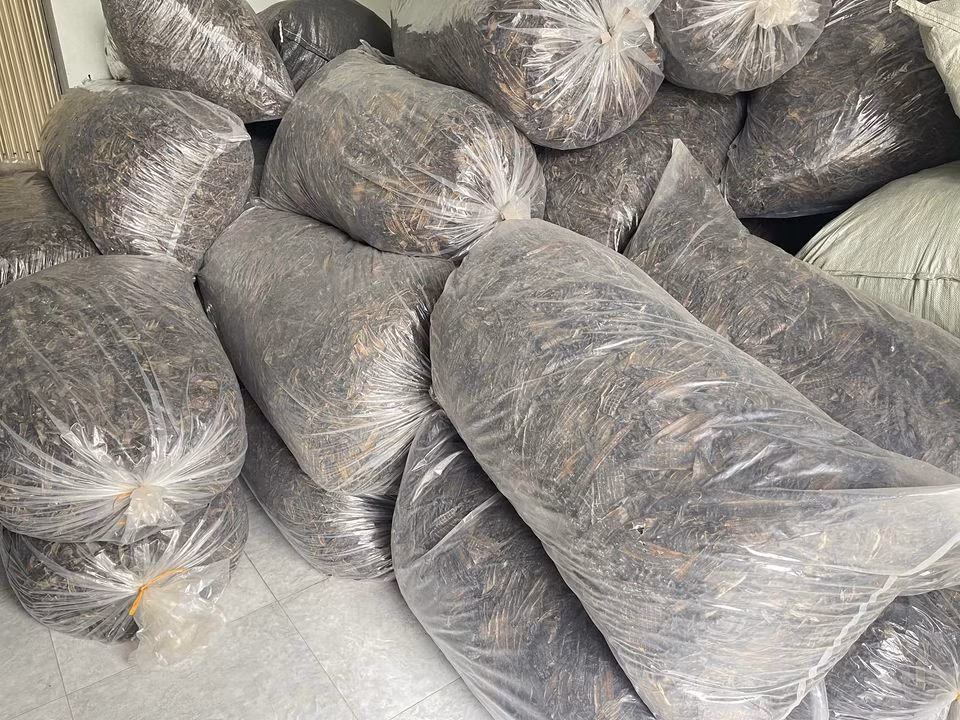 Trung Quoc tim mua giun say kho dat nhat cho mang 1,5 trieu/kg-Hinh-2