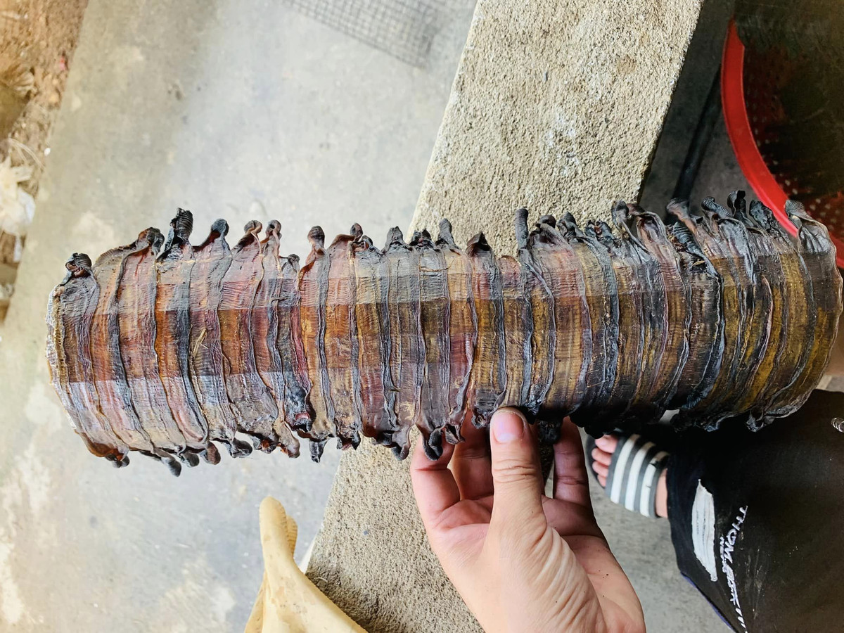 Trung Quoc tim mua giun say kho dat nhat cho mang 1,5 trieu/kg