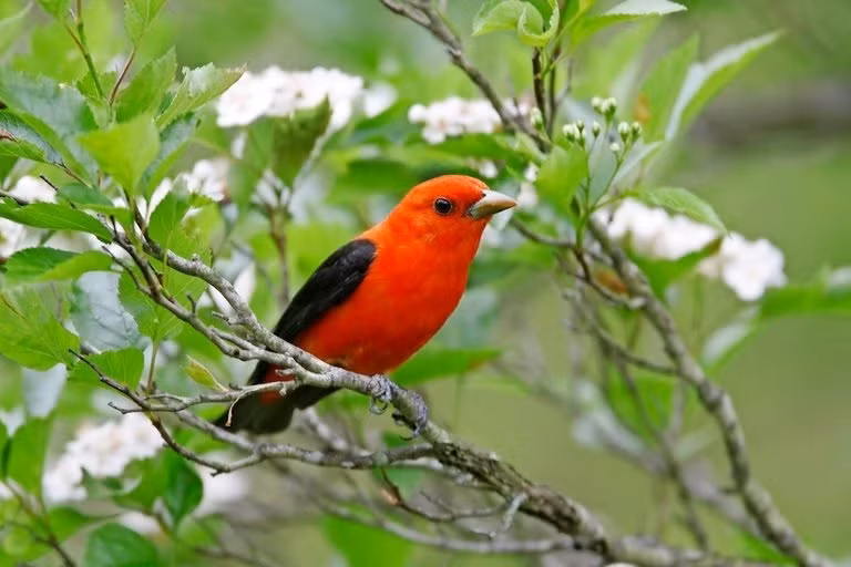 Ai sinh thang Am lich nay khiem ton, gian di nhung co phuc