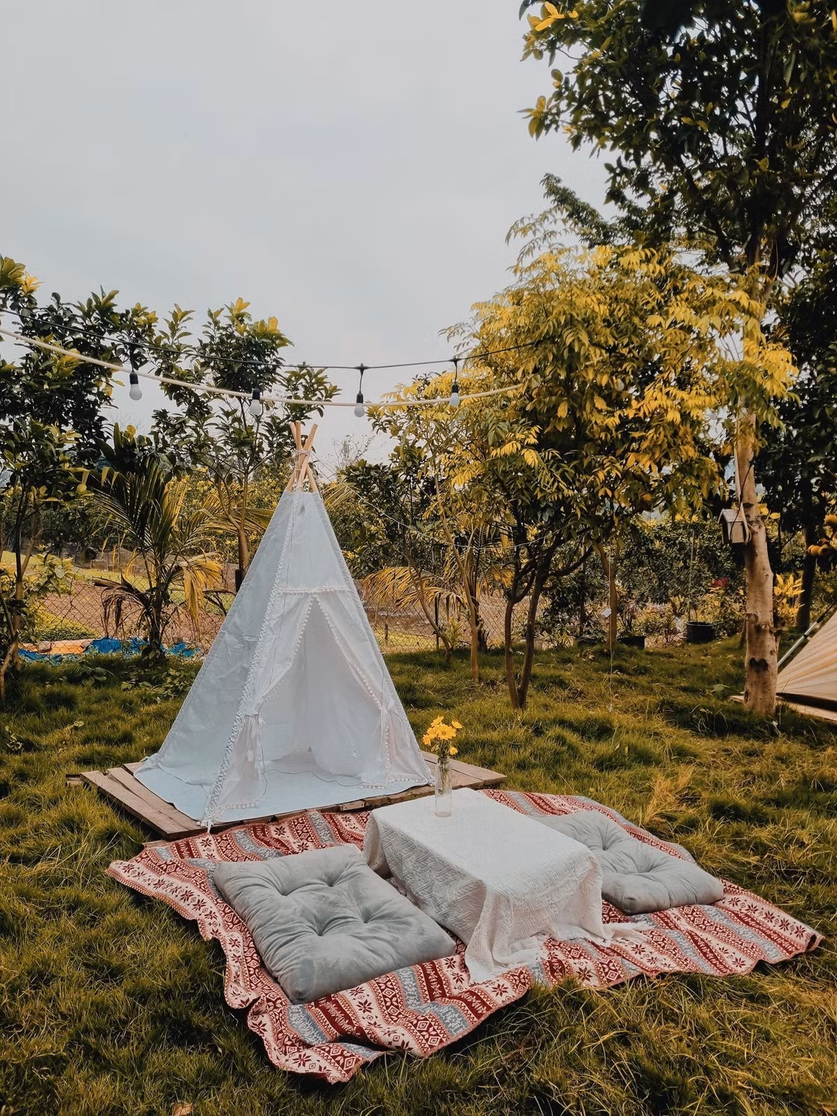 Ha Noi: “Dua nhau di tron” cuoi tuan tai 3 quan ca phe ket hop camping-Hinh-4
