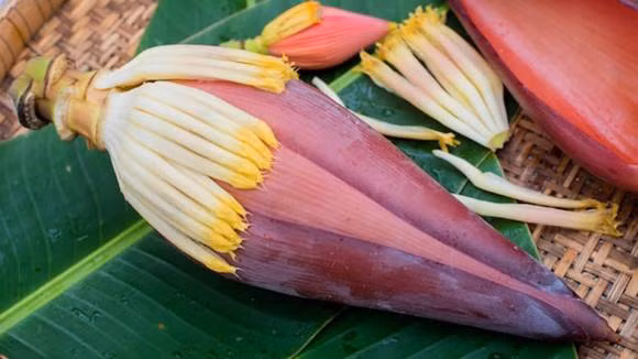 Mot bo phan cay chuoi thuong bi bo di, lam nom cuc ngon-Hinh-3