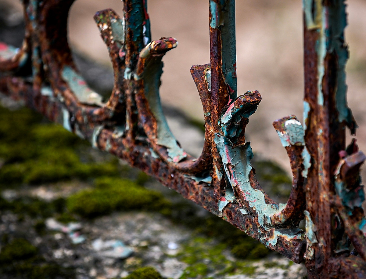 Nhiều cơ sở hạ tầng khác trong công viên cũng bị xuống cấp trầm trọng: hàng rào sắt, cột đèn hoen rỉ; chậu cây cảnh chết khô, những giá để chậu hoa trống trơn,....