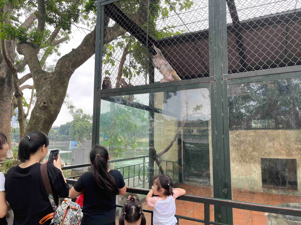 Theo phản ảnh của người dân khi tham quan, nhiều chuồng thú bốc mùi hôi khó chịu, có nơi còn lúc nhúc chuột trên những bãi thức ăn thừa. Chị Hoàng Ngọc Thảo (quê Nam Định) đưa con từ quê ra thăm người nhà tiện thể cho các bé qua sở thú chơi, chị lắc đầu ngao ngán: "Các bé nhà tôi trước giờ chỉ được xem sở thú trên truyền hình nên rất háo hức khi được đưa đến đây. Tuy nhiên khi đến thăm các chuồng thú thì mùi hôi thối rất khó chịu, nước dưới hồ tanh, nhiều nơi còn có cá chết. Cảnh quan nhìn chung nhếch nhác trong khi vé vào cửa thì tương đối cao."