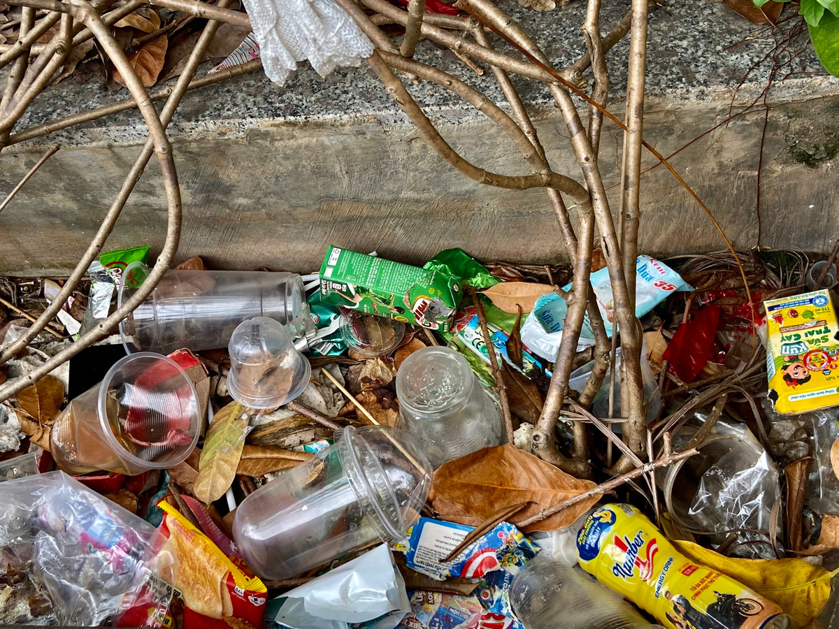 Nhiều bồn cây được "trải thảm" bằng rác.