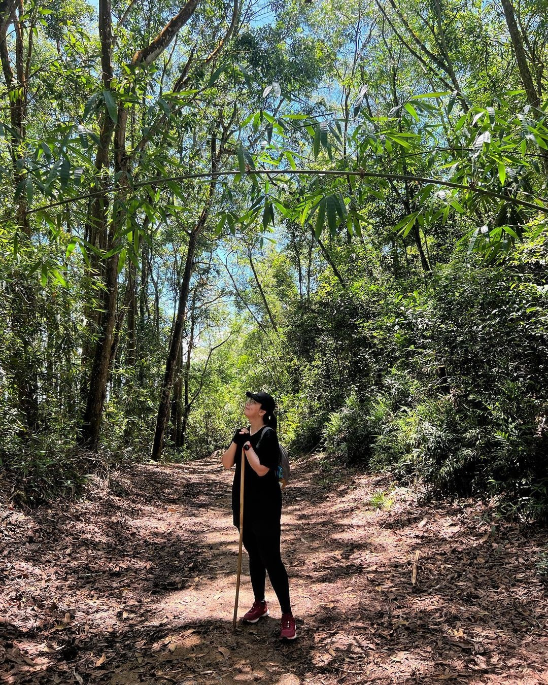 Diem den thien nhien tranh dong duc tren nui Dinh-Hinh-10