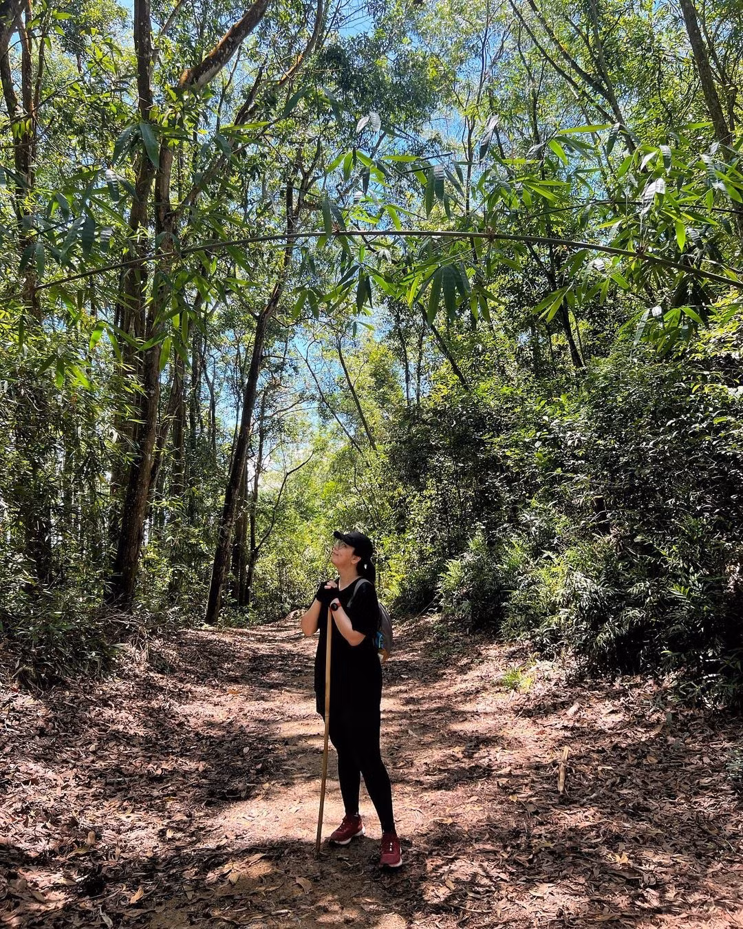 Diem den thien nhien tranh dong duc tren nui Dinh-Hinh-10